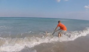 Il sauve un requin à mains nues sur une plage australienne