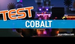 Cobalt : TEST FR - Le platformer spatial sur PC / ONE