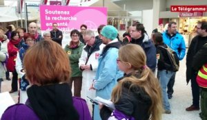 Brest. Santé : 500 manifestants place de la Liberté