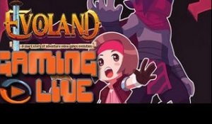 GAMING LIVE PC - Evoland - Jeuxvideo.com