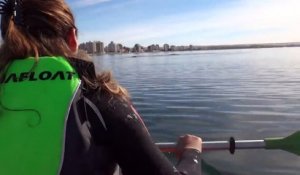 En kayak ils se retrouvent sur le dos d'une baleine à bosse