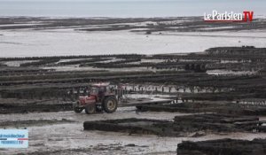 #moiélecteur : la présidentielle vue par un ostréiculteur de Cancale