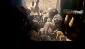 NOÉ Nouvelle Vidéo du film - l'Arche de Noé avec Russel Crowe