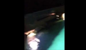 Ce débile saute dans une piscine pleine de requin... presque bouffé!