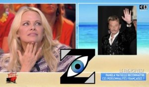 [Zap Télé] Pamela Anderson agace Hanouna en ne reconnaissant pas Johnny ! (18/03/17)
