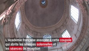 Académie française : suivez le guide ! #Francophonie #20mars