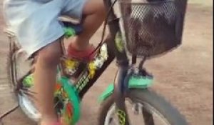 Cet enfant balade ses chiens en vélo !