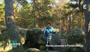 La forêt de Fontainebleau - Visites privées
