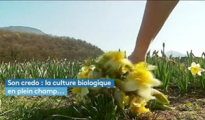 Consommation : des fleurs bio made in France