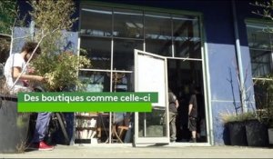 Suisse : le succès des boutiques de cannabis light