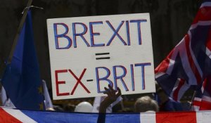 Londres : les anti-Brexit manifestent le jour des 60 ans de l'Union européenne