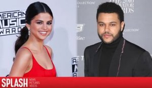 Selena Gomez s'envole pour la Colombie pour aller voir The Weeknd