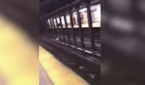 Il sauve un homme tombé sur les rails du métro de New York