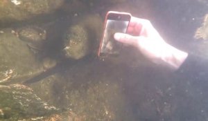 Trouver un iPhone en pleine plongée dans un fleuve !