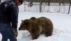 Un petit calin avec un gros ours.... ahaha