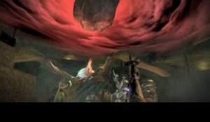 Final Fantasy 14 A Realm Reborn : Chocobos gameplay