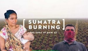 Sumatra Burning: The heart of palm oil (FINAL CUT)