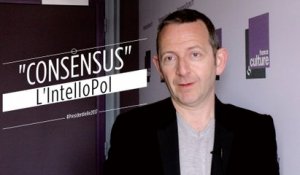 L'IntelloPol #10 : "consensus", par Guillaume Erner