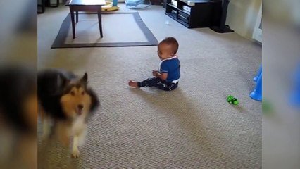 Ce Chien Fait Le Bonheur De Ce Bebe Mort De Rire Sur Orange Videos