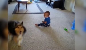 Un bébé est mort de rire en voyant le chien surexcité !