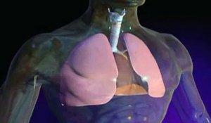 Le pneumothorax expliqué en vidéo