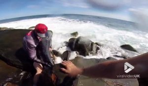 2 plongeurs sauvent une Carangue énorme échouée dans les rochers