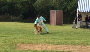 Compétition au club canin de Sablé-sur-sarthe