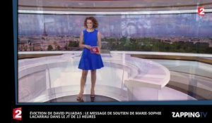 David Pujadas viré : Marie-Sophie Lacarrau le soutient en direct dans le 13h de France 2