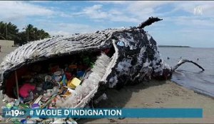 Greenpeace fait le buzz avec une fausse baleine échouée sur une plage - Regardez