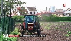 Environnement : la France souhaite préserver ses terres agricoles