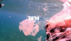 Au Mexique, des plongeurs montrent comment le plastique a dévasté la mer