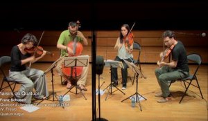Franz Schubert : Quatuor à cordes n°7 en ré majeur D.94 - IV Presto par le Quatuor Kitgut