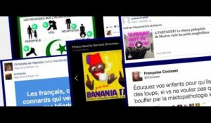 Front national : Des candidats aux législatives épinglés pour leurs propos racistes sur les réseaux sociaux (vidéo)