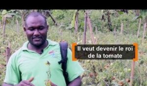 Cameroun : Il veut devenir le roi de la tomate