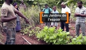 Bénin : Les jardins de l'espoir