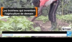 Les Ivoiriens qui inventent l’agriculture de demain