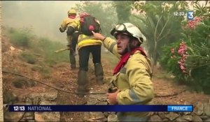 Pyrénées-Orientales : un incendie ravage 180 hectares de forêt