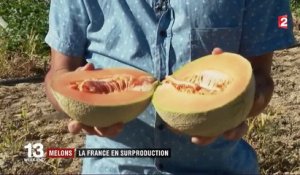 En surproduction, la France ne sait plus que faire de ses melons