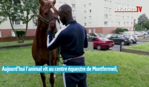 Il fait le buzz en se promenant à cheval dans Montreuil