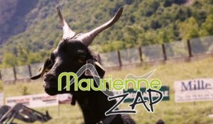 Maurienne Zap # 339