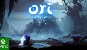 Ori and the Will of the Wisps - #E32017 Teaser Trailer