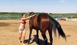 Un cheval donne un coup de main à une fille pour le monter
