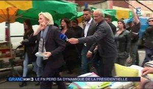 Législatives - FN : Marine Le Pen pour sauver les meubles