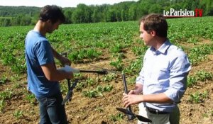 Saint-Soupplets : leur drone prend soin des vignes