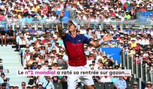 Tennis / Queen's : Murray en chute libre