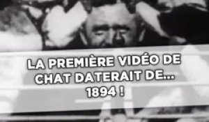 La première vidéo de chat daterait de... 1894 !