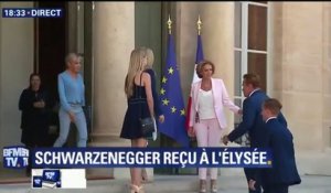 Arnold Schwarzenegger remonte les marches du perron de l'Elysée pour saluer Brigitte Macron