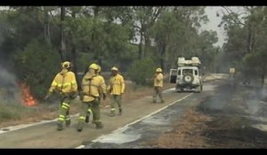 Espagne : Un gigantesque incendie dans le parc naturel de Donana, 1800 personnes évacuées (Vidéo)