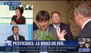 Pesticides: "Nicolas Hulot a réagi très vite, peut-être trop vite", estime Castaner