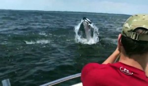 Partis pêcher, leur bateau manque de faire naufrage lorsqu'une baleine surgit de trop près !